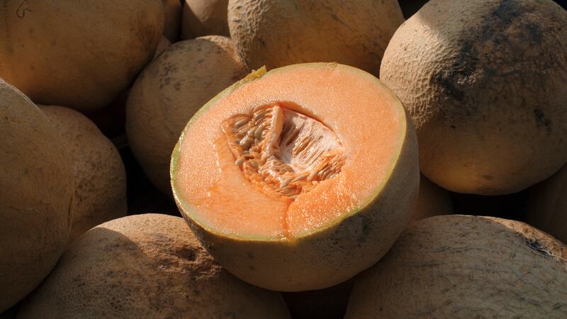 FILE - Cantaloupes are displayed for sale in Virginia on Saturday, July 28, 2017.