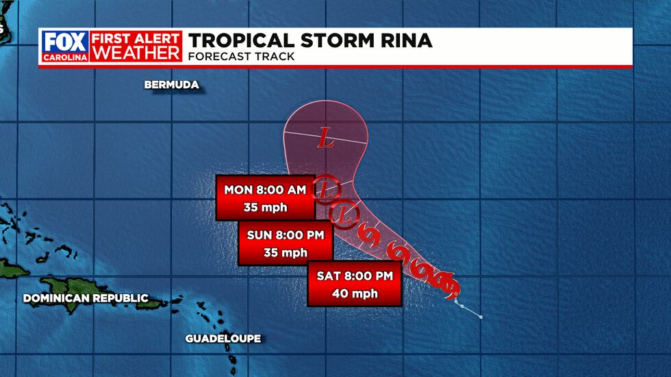Forecast track