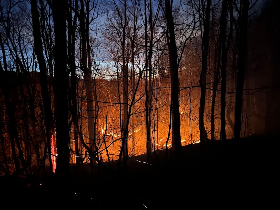 Hurricane Ridge fire is now up to 700 acres.