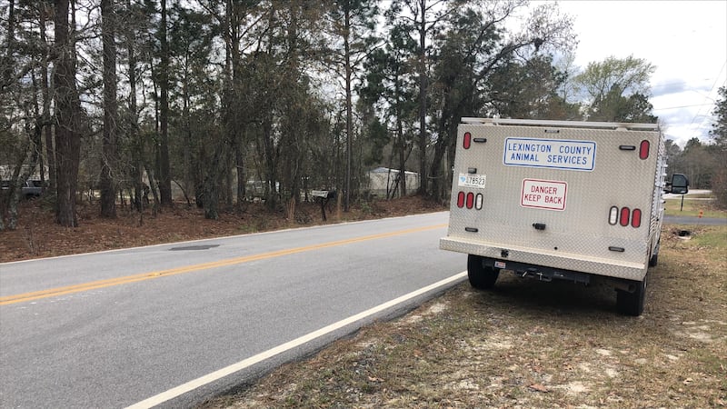Officials warned residents to be on the lookout after reports of a 'large cat' were seen in...