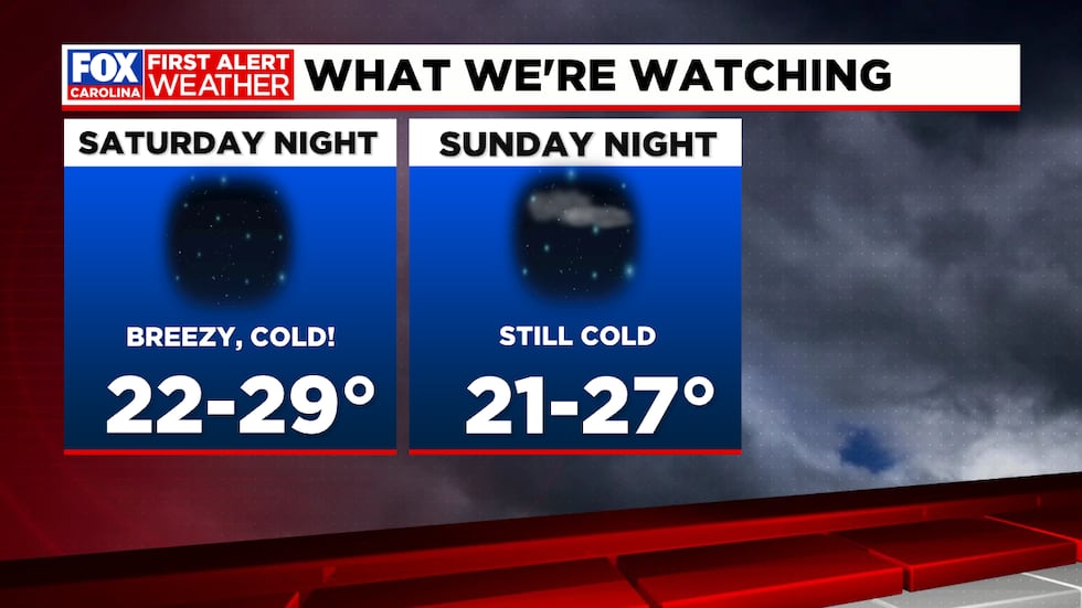Take precautions with sensitive outdoor plants and make sure pets can get warm