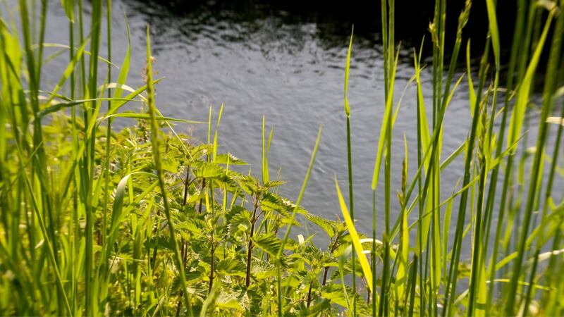 FILE PHOTO - Crews began searching the riverbank, where they located the man’s body about 200...