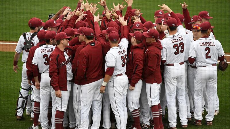 South Carolina baseball (Source: GamecocksOnline.com)