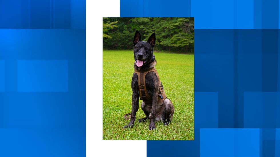 SLED said Rico was a 3-year-old Belgian Malinois mix who had been with the agency just over a...