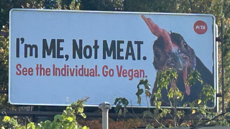 PETA put up a road sign off Atlanta Highway after three chicken-carrying trucks crashed in...