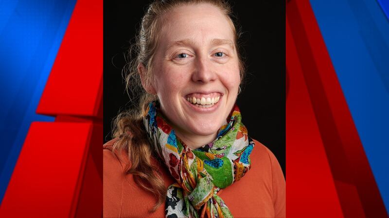 Sarah Work is running for South Carolina Treasurer (A)