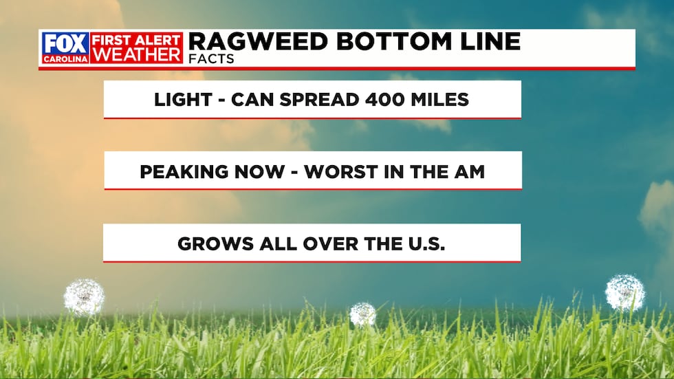 The offensive pollen is bothering people all over the country