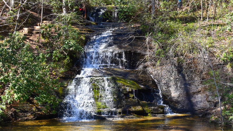 Wildcat Wayside waterfall in Greenville County.