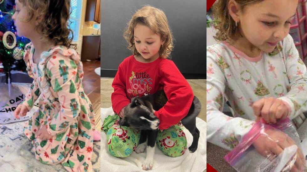 Dresses belonging to 7-year-old Riley Faith were accidentally given to a consignment store.