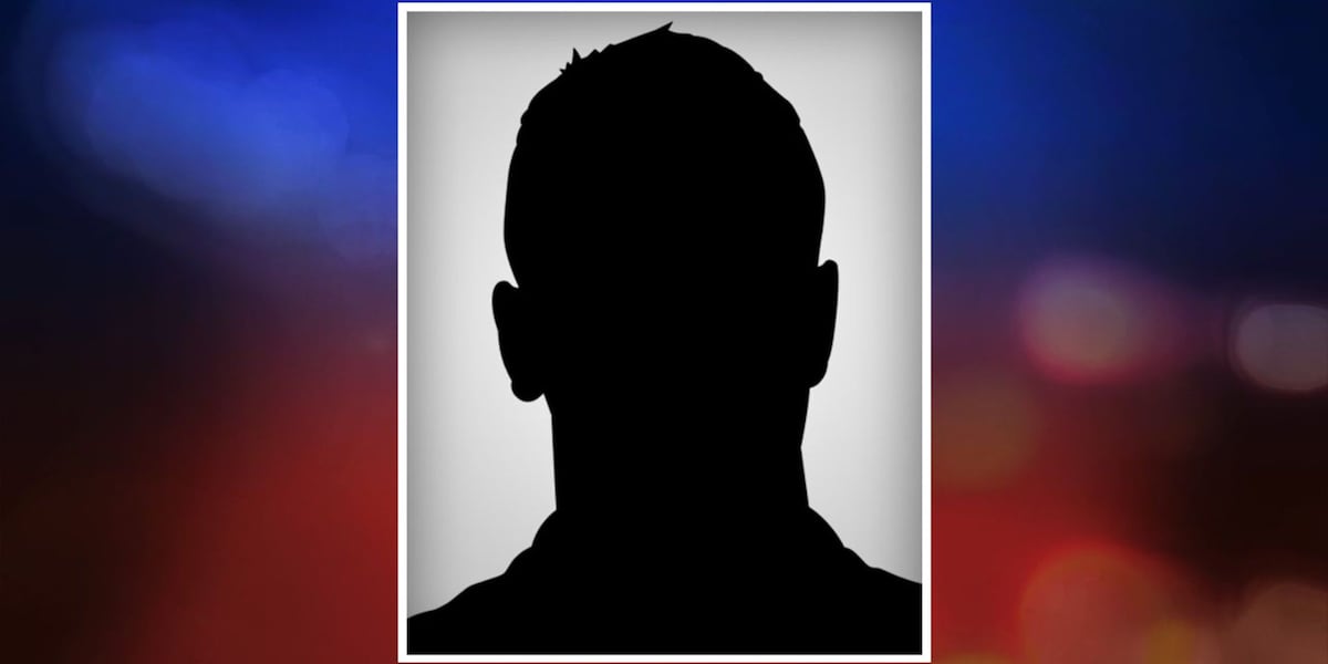 'Back in action': Spartanburg County's online mugshots up and running
